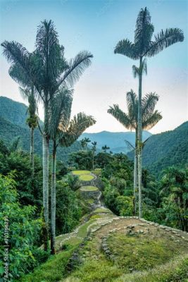 Der Aufstieg der Tayrona-Kultur: Eine maritime Zivilisation im Herzen Kolumbiens